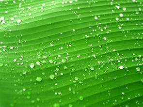 绿色信号灯，全域低风险省份的生活新篇章