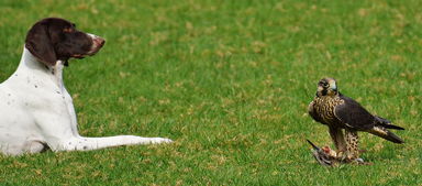 31省本土病例新增35例，北京河北等地疫情动态引关注