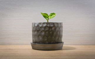 木制垃圾桶，打造自然与实用并存的环保家居