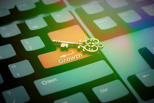 稳步扩大制度型开放，推动中国经济高质量发展的关键路径