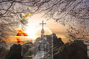 大南山紫园,现代与自然和谐交融的高端住宅典范 大南山紫园,现代与自然和谐交融的高端住宅典范