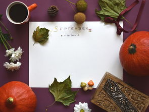 幼儿园里的小助手—杯架的那些事