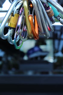 支付宝的最新动态与安全更新