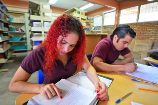 2011年中考，教育的里程碑与挑战