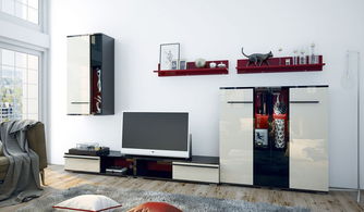 TCL家电产品选购与家居装潢搭配攻略