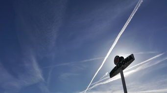 探索光的反射定律，自然界的几何之美