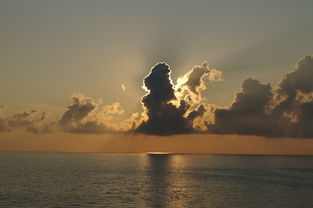 广东疫情动态，昨日新增本土确诊74例的深度解析