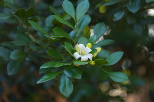 2023年4月27日浙江疫情速报,最新动态与防控措施解析 2023年4月27日浙江疫情速报,最新动态与防控措施解析