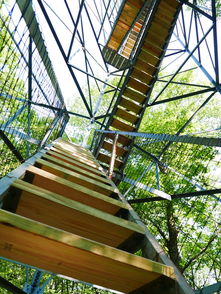 福建战疫新动态，11例本土确诊背后的挑战与希望