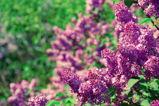 静待花开，上海全域静态管理的守护之道