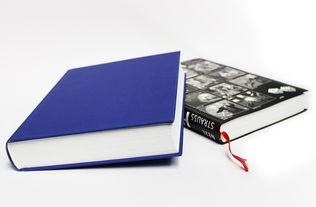 高中语文学习网,提升语文素养的数字化助手 高中语文学习网,提升语文素养的数字化助手