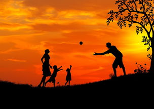 探索祖父的园子，PPT中的家族记忆与传承