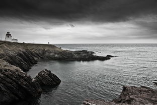 中国疫情防控新动态，31省份新增本土36例的深度解析