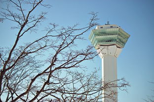 广州海珠区疫情新动态，9日新增2例阳性的应对与预防