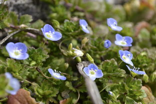 中央财政超14万亿怎么花？