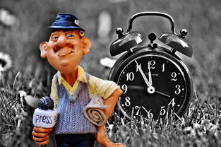 舒马赫，从车王到植物人的传奇