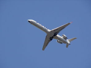 崇州疫情最新动态，防控措施与市民生活