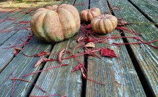 黑龙江疫情新动态，新增本土确诊43例背后的防控策略与个人防护指南