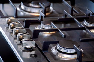 探索厨房新伙伴，三角牌电饭锅的全面评测