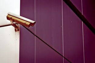 江苏疫情新动态，新增40例本土病例的应对与防护指南