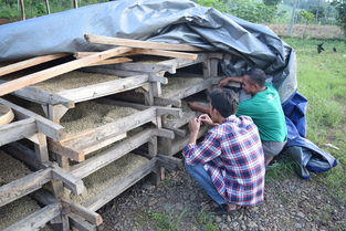 缅甸地震，灾难中的坚韧与希望
