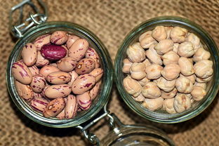 罂粟壳火锅，美味背后的法律警钟