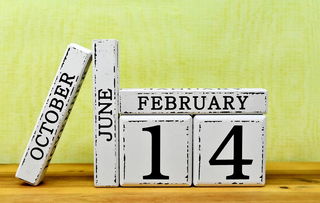 家居美化秘籍：图鉴精选