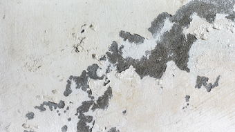 成都新都区的警钟,一例无症状感染者引发的深思 成都新都区的警钟,一例无症状感染者引发的深思