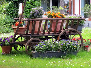 打造绿色环保家庭装修攻略