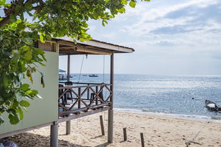 全环保家装，打造绿色家居生活