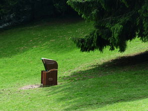 家居环保：守护健康，塑造绿色生活