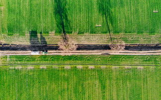 绿色家装,环保生活新选择 绿色家装,环保生活新选择