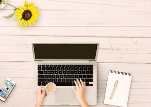 家装设计入门视频教程：轻松学会设计技巧