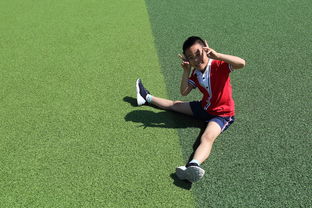 北京卫视:精彩节目轮番上演 北京卫视:精彩节目轮番上演