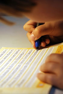 家装心得体会范文撰写指南