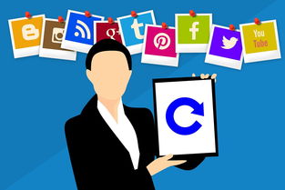 《2024家装宝典：全面指南新升级》