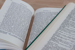 2010陕西中考语文，开启智慧之门的金钥匙