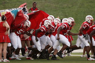 活力四射,打造高效体育公开课的秘诀 活力四射,打造高效体育公开课的秘诀