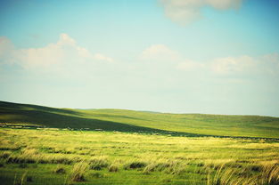草原上的守护,锡林郭勒盟疫情的挑战与应对 草原上的守护,锡林郭勒盟疫情的挑战与应对