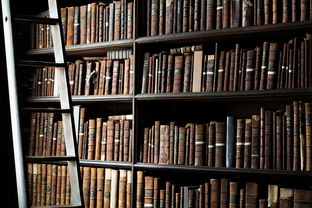 开启创作之旅，我的第一本书教案指南