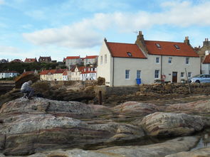 河南疫情，最新动态与防控措施解析