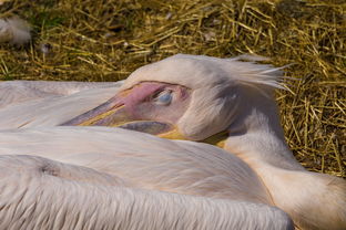 河南新增3例感染者，了解疫情动态，加强个人防护
