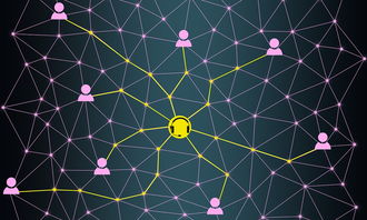 掌握过去式，练习与应用