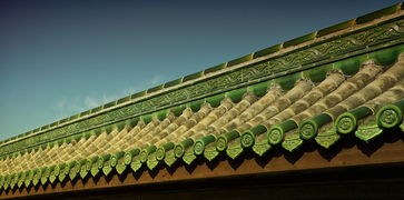 大连地区疫情最新消息，防控措施与市民生活动态