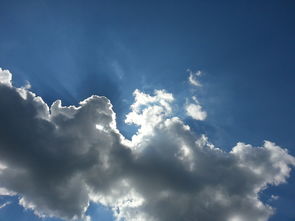 呼和浩特市疫情最新动态