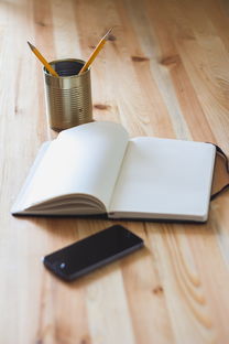 苹果PPT，让创意与效率在指尖跳跃