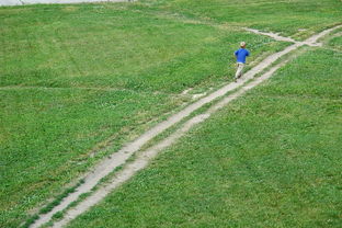 深入了解四中分数线，如何为孩子的教育未来铺路