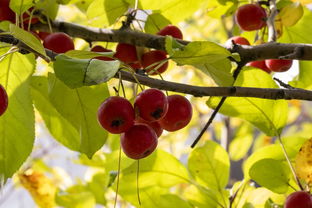 齐齐哈尔市最新疫情动态