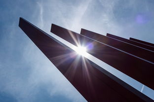 纽约疫情最新动态，数据、影响与应对策略