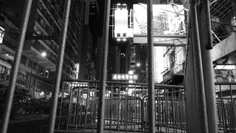 上海的静默，疫情下的封控与生活